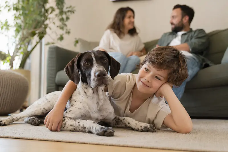 Ein Navarro Pointer liegt entspannt neben einem Kind im hellen Wohnzimmer einer Familie.