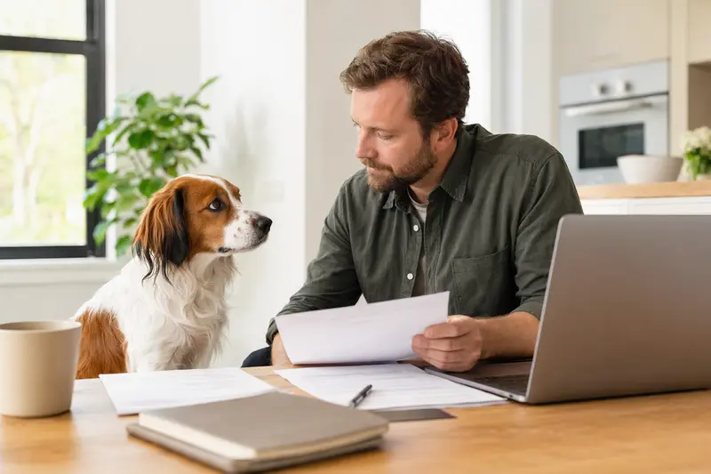 Ein Nederlandse Kooikerhondje sitzt ruhig neben seinem Besitzer am Küchentisch mit Versicherungsunterlagen und Laptop zur Hundekrankenversicherung.