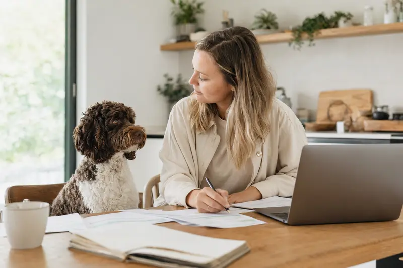 Ein Niederländischer Schafspudel sitzt ruhig neben seinem Besitzer am Küchentisch mit Versicherungsunterlagen und Laptop, passend zum Thema Hundeversicherung.