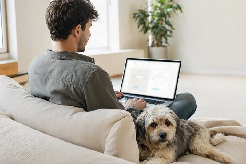 Ein Besitzer sitzt mit offenen Laptop auf dem Sofa, während ein Nishon-Terrier Hund daneben sitzt, was ein Gefühl von Sicherheit und Einfachheit bei der Entscheidungsfindung zeigt.