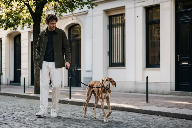 Ein Nordafrikanischer Windhund läuft entspannt an der Leine mit seinem Besitzer durch eine moderne Stadtstraße.