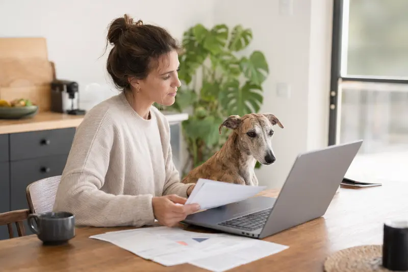 Ein Nordafrikanischer Windhund sitzt ruhig neben seinem Besitzer am Küchentisch mit Versicherungsunterlagen und Laptop zum Hundekrankenversicherung-Vergleich.