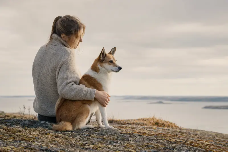 Ein aufmerksamer Norsk Lundehund steht in natürlicher Haltung vor hellem Hintergrund und zeigt die typische Körperform dieser Hunderasse.
