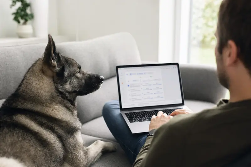 Ein Hundebesitzer sitzt auf dem Sofa mit einem Norwegischen Elchhund und vergleicht Versicherungsoptionen auf seinem Laptop.