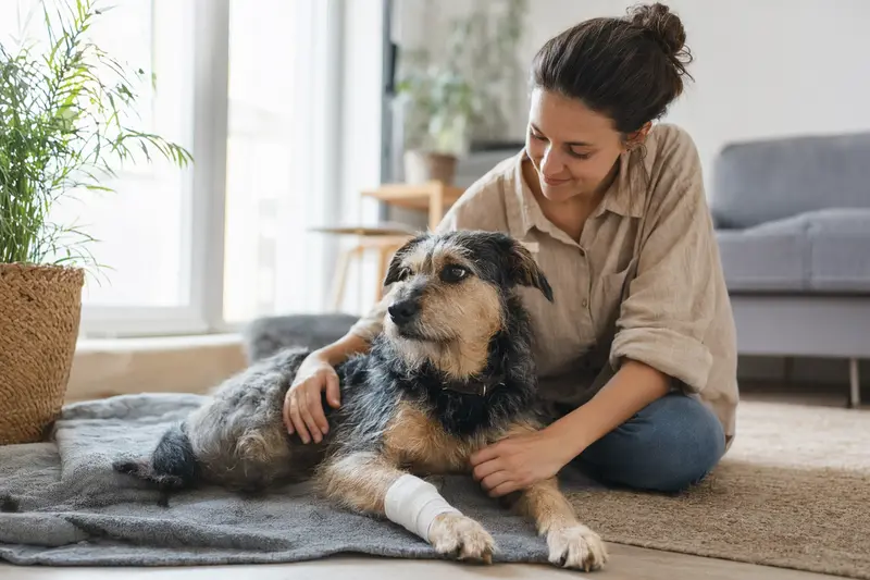 Ein Hund mit leicht verbundenem Pfotenverband liegt ruhig auf einer Decke, während sein erleichterter Besitzer neben ihm sitzt.