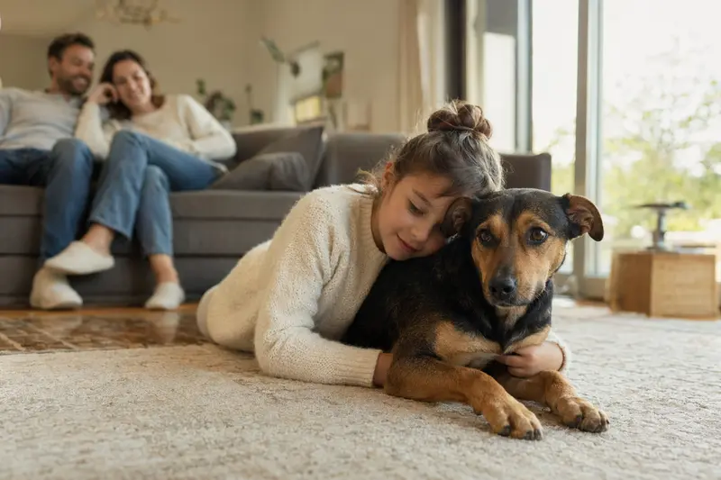 Ein Österreichischer Pinscher liegt entspannt neben einem Kind im Wohnzimmer, während die Eltern im Hintergrund eine sichere Familienatmosphäre schaffen.