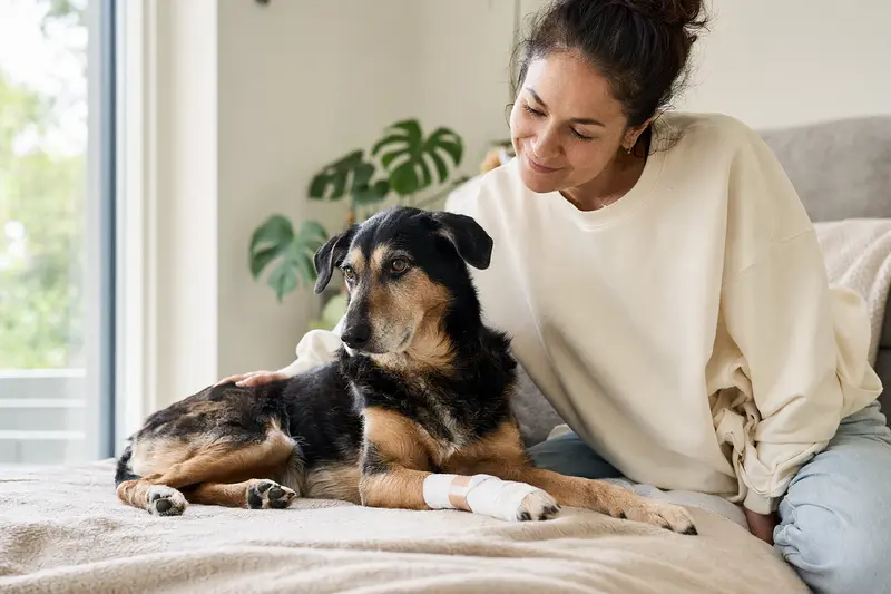 Ein Hund mit leicht verbundenem Pfotenbereich liegt ruhig auf einer Decke, während sein Besitzer neben ihm erleichtert sitzt.