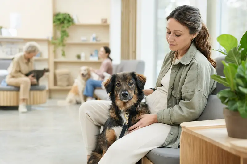 Ein ruhiger Hund sitzt im Wartezimmer der Tierarztpraxis neben seinem Besitzer, während im Hintergrund weitere Tiere leicht unscharf zu sehen sind.