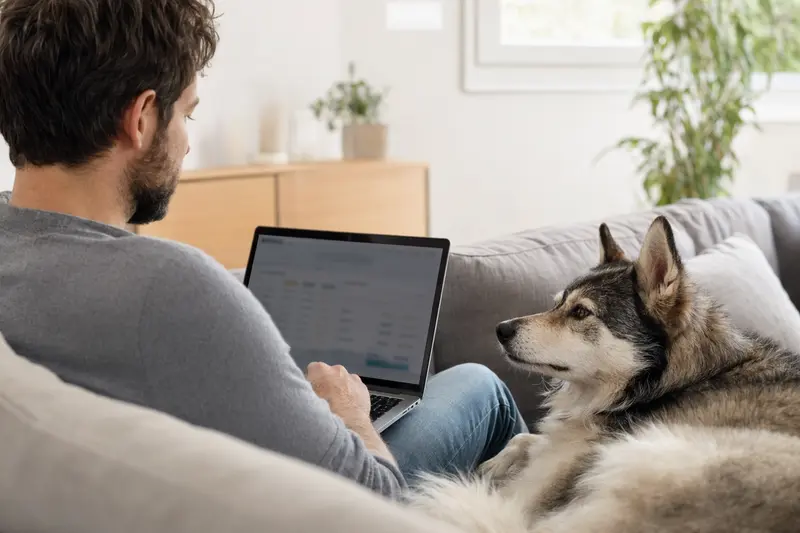 Ein Hundebesitzer sitzt entspannt mit seinem Ostsibirischen Laika auf dem Sofa und vergleicht Versicherungen auf dem Laptop.