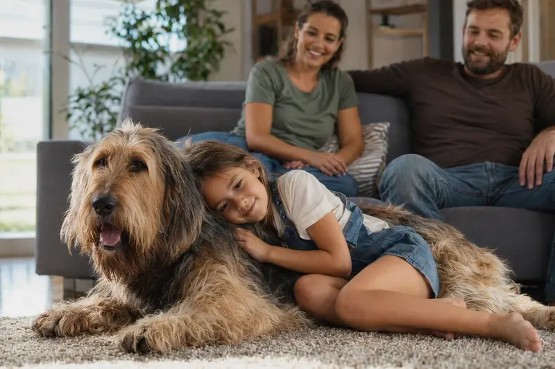 Ein freundlicher Otterhound liegt entspannt neben einem Kind im Wohnzimmer, während die Eltern im Hintergrund eine sichere Familienatmosphäre schaffen.