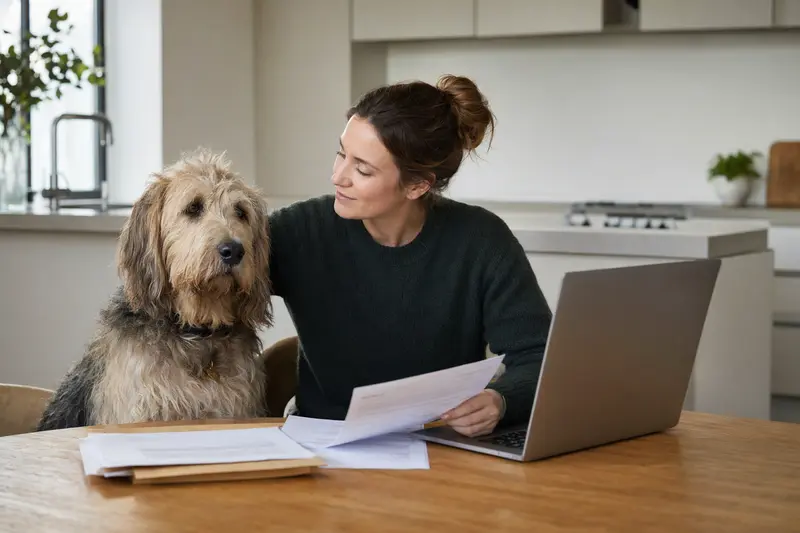 Ein Otterhound sitzt ruhig neben seinem Besitzer am Küchentisch mit Versicherungsunterlagen und einem Laptop in einer hellen Wohnung, passend zum Thema Hundeversicherung.