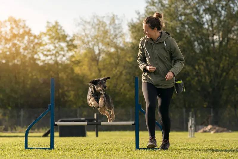 Ein aktiver Otterhund springt mit seinem Besitzer über eine kleine Trainingshürde auf dem Hundeplatz.