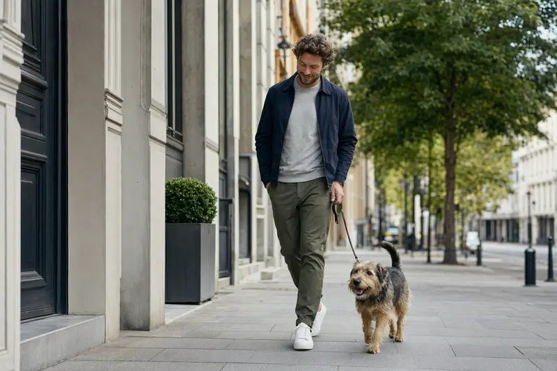 Ein Paisley Terrier läuft entspannt an der Leine mit seinem Besitzer durch eine moderne Stadtstraße.