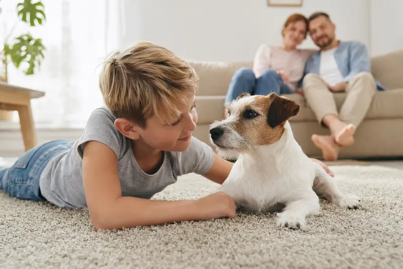 Ein freundlicher Parson Jack Russell Terrier liegt entspannt neben einem Kind im Wohnzimmer, während die Eltern im Hintergrund eine sichere Familienatmosphäre schaffen.