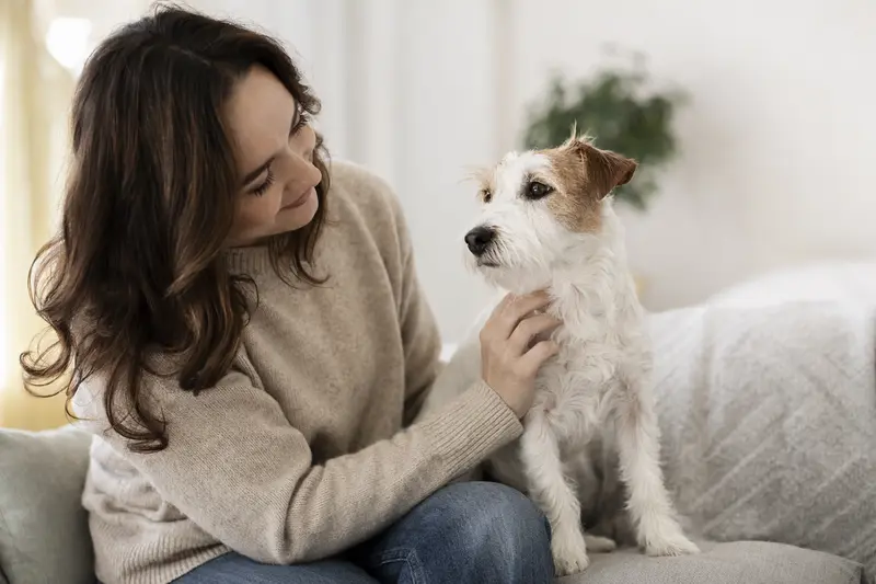 Parson Russell Terrier in aufmerksamer Haltung vor hellem Hintergrund, als realistisches Hundeportrait für einen seriösen Ratgeber zur Tiergesundheit.