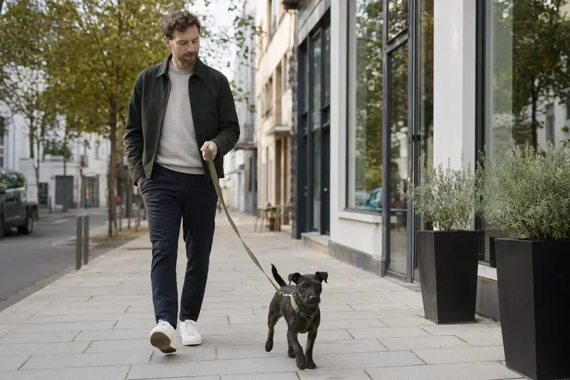 Ein Patterdale Terrier läuft an der Leine mit seinem Besitzer durch eine freundliche moderne Stadtstraße.