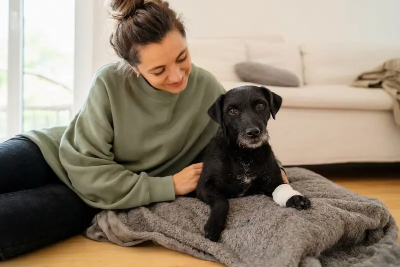 Ein Patterdale Terrier mit leicht verbundenen Pfote liegt ruhig auf einer Decke, während sein Besitzer daneben erleichtert sitzt.