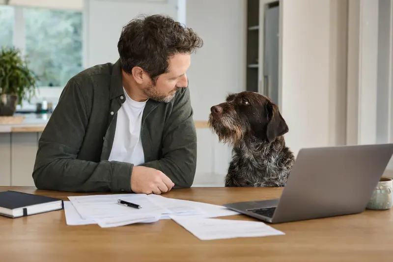 Ein Perdigueiro Português sitzt ruhig neben seinem Besitzer am Küchentisch mit Versicherungsunterlagen und einem Laptop zur Hundekrankenversicherung.