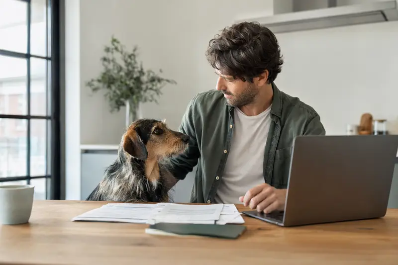 Perro Gaucho Hund sitzt ruhig neben seinem Besitzer am Küchentisch mit Versicherungsunterlagen und einem Laptop zur Hundekrankenversicherung.