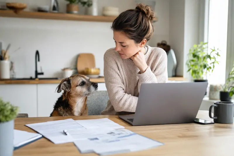 Ein Perro Gocho Hund sitzt ruhig neben seinem Besitzer am Küchentisch, während Versicherungsunterlagen und ein Laptop mit Vergleichsseite eine Tierkrankenversicherung zeigen.