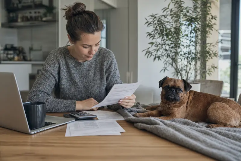 Ein Hundebesitzer sitzt mit einer Tierarztrechnung am Tisch, während ein entspannter Petit Brabancon auf einer Decke liegt – ein ruhiges Motiv zum Thema Tierarztkosten und Hundekrankenversicherung.