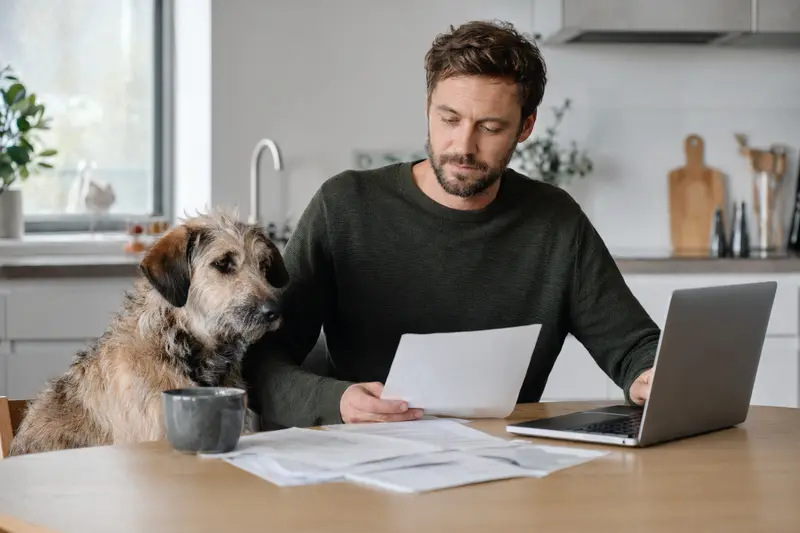 Ein Picard Hund sitzt ruhig neben seinem Besitzer am Küchentisch mit Versicherungsunterlagen und einem Laptop mit Vergleichsseite in heller Wohnung.