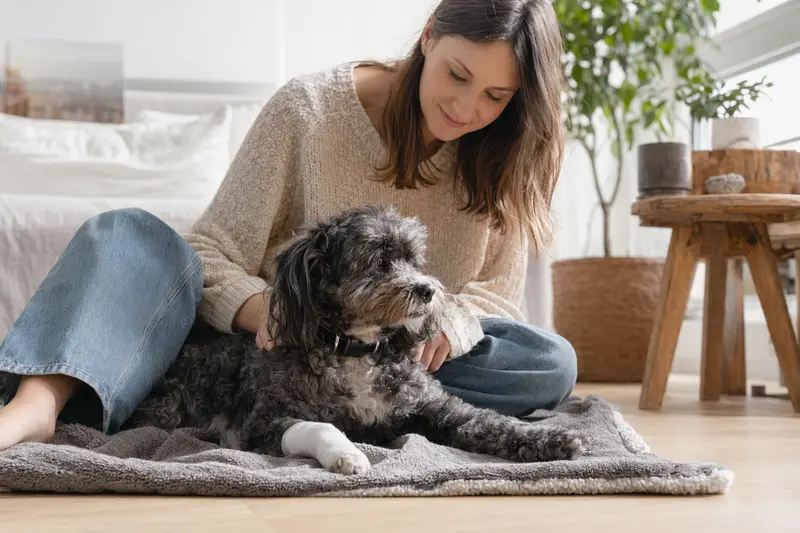 Ein Hund mit leichtem Verband an der Pfote liegt ruhig auf einer Decke, während sein Besitzer erleichtert neben ihm sitzt.