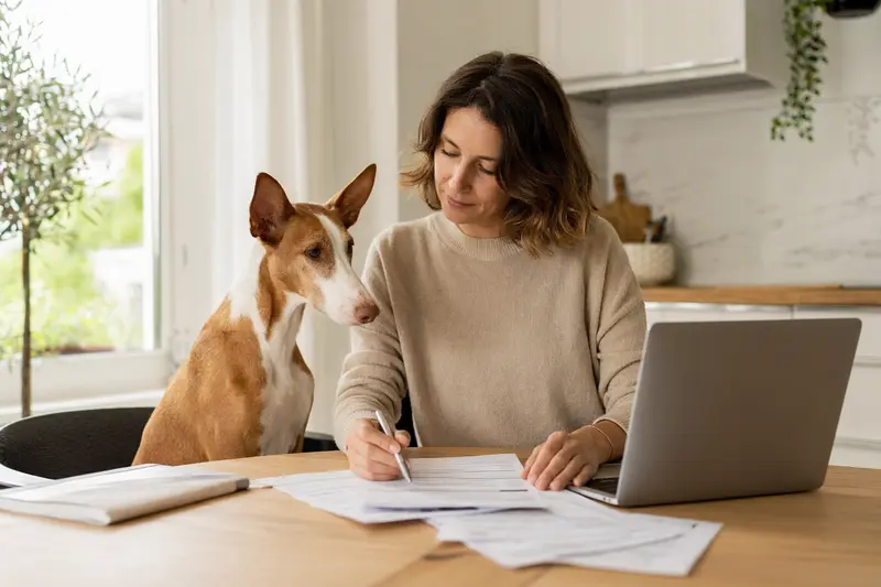 Ein Podenco Grande sitzt ruhig neben seinem Besitzer am Küchentisch, während Versicherungsunterlagen und ein Laptop mit einer neutralen Vergleichsseite auf eine Tierkrankenversicherung hinweisen.