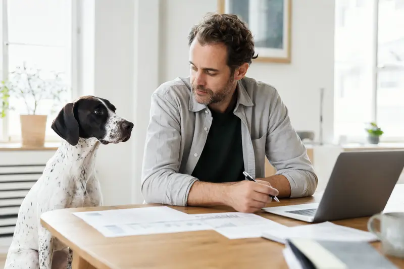 Ein Pointer Hund sitzt entspannt neben seinem Besitzer am Küchentisch mit Versicherungsunterlagen und einem Laptop.