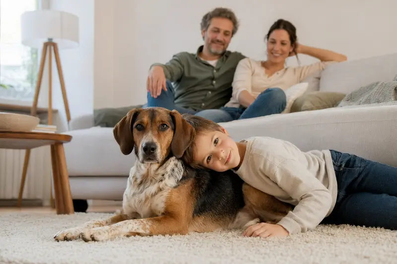 Ein freundlicher Polnische Bracke Hund entspannt neben einem Kind im Wohnzimmer.