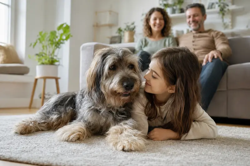 Ein freundlicher Polnischer Niederungshund liegt entspannt neben einem Kind im Wohnzimmer, während die Eltern im Hintergrund stehen.