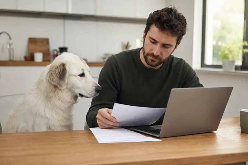 Ein Polski Owczarek Podhalanski sitzt ruhig neben seinem Besitzer am Küchentisch mit Versicherungsunterlagen und Laptop zur Hundekrankenversicherung.