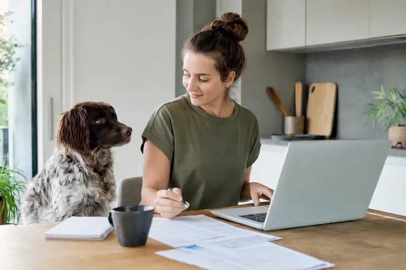 Portugiesischer Hühnerhund sitzt ruhig neben seinem Besitzer am Küchentisch mit Versicherungsunterlagen und Laptop zur Hundekrankenversicherung.