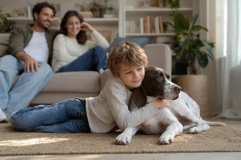 Ein Portugiesischer Pointer liegt entspannt neben einem Kind im Wohnzimmer in einer sicheren Familienatmosphäre.