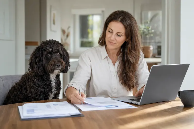 Ein Portugiesischer Wasserhund sitzt entspannt neben seinem Besitzer am Küchentisch mit Versicherungsunterlagen und einem Laptop.