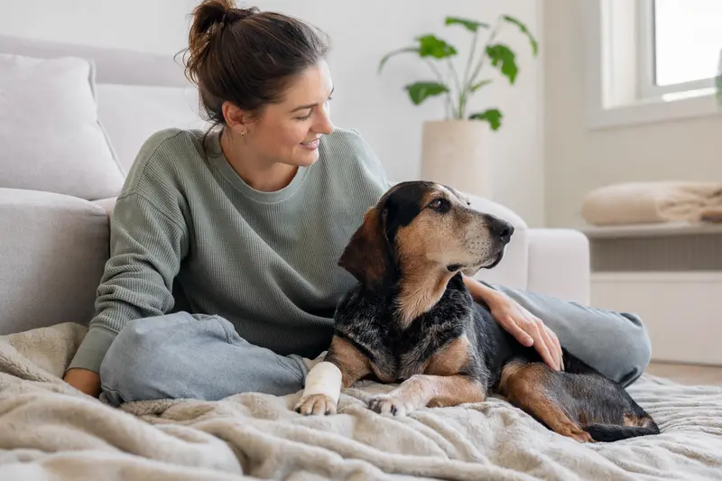 Posavatz Laufhund mit leicht verbundenen Pfote liegt ruhig auf einer Decke, während sein Besitzer neben ihm sitzt und erleichtert wirkt.