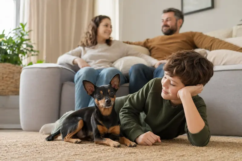 Ein freundlicher Prager Rattler liegt entspannt neben einem Kind im hellen Wohnzimmer einer Familie.