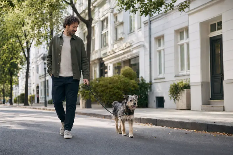 Ein Puwo-Hund läuft an der Leine mit seinem Besitzer durch eine moderne Stadtstraße im Alltag.