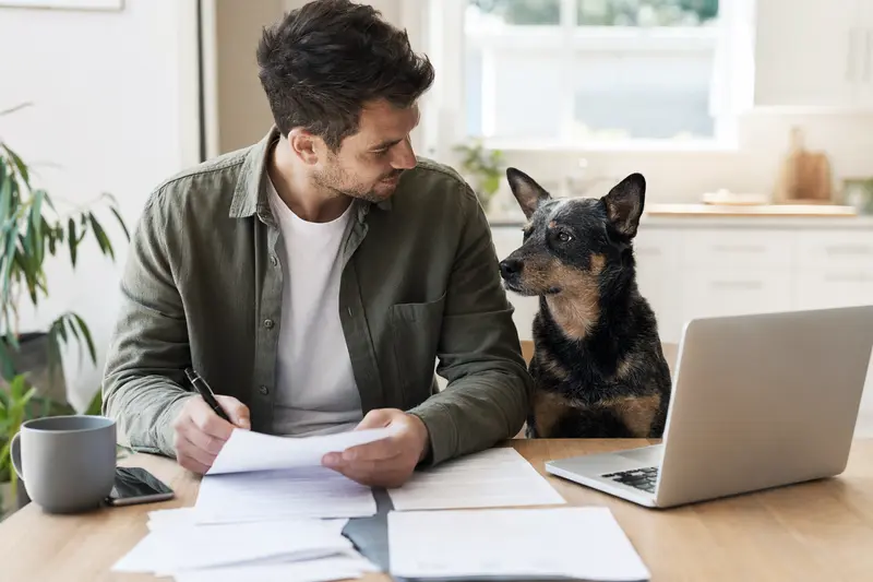 Ein Queensland Heeler sitzt ruhig neben seinem Besitzer am Küchentisch mit Versicherungsunterlagen und einem Laptop auf einer Tierkrankenversicherung-Vergleichsseite.