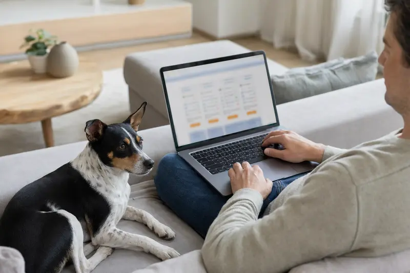 Ein Hundebesitzer mit einem Ratonero Bodeguero Andaluz auf dem Sofa, der am Laptop für die Tierkrankenversicherung recherchiert.