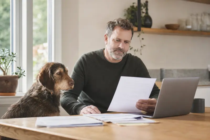 Ein Rauhhaarige Istrianer Bracke sitzt ruhig neben seinem Besitzer am Küchentisch mit Versicherungsunterlagen und einem Laptop zur Hundeversicherung.