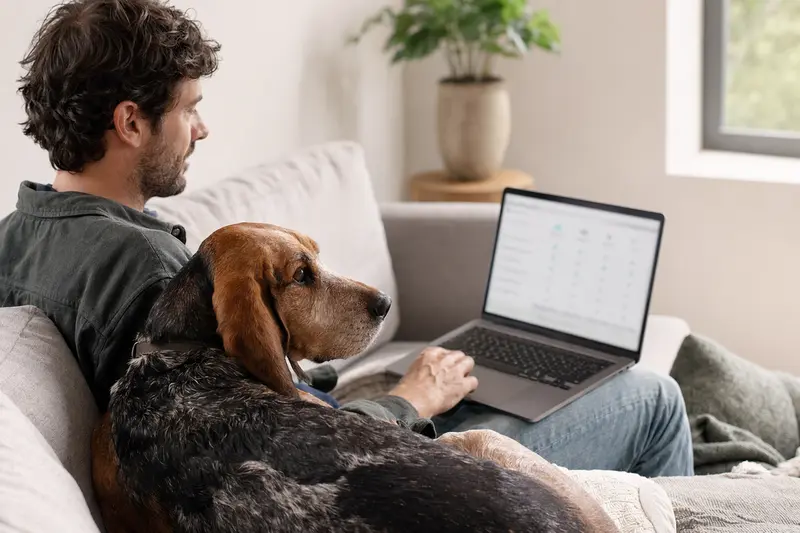 Ein Hundebesitzer arbeitet am Laptop auf dem Sofa, während ein Redtick Coonhound entspannt daneben sitzt.