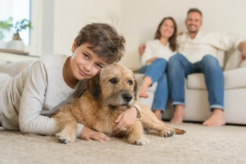 Ein freundlicher Roseneath Terrier liegt entspannt neben einem Kind im Wohnzimmer, während die Eltern im Hintergrund eine sichere Familienatmosphäre schaffen.