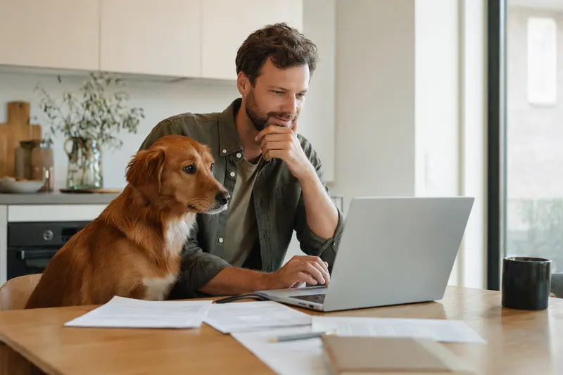 Ruby Hund sitzt ruhig neben seinem Besitzer am Küchentisch, während Versicherungsunterlagen und ein Laptop mit einer Vergleichsseite vor ihm liegen.