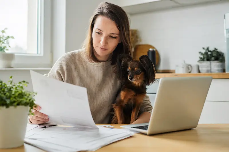 Ein Russischer Toy Hund sitzt ruhig neben seinem Besitzer am Küchentisch mit Versicherungsunterlagen und Laptop zur Hundeversicherung.
