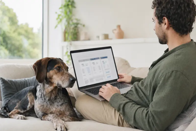 Ein Besitzer arbeitet am Laptop auf dem Sofa, während neben ihm ein Savetal Bracke Hund sitzt, was die Sicherheit bei der Auswahl einer Tierkrankenversicherung symbolisiert.