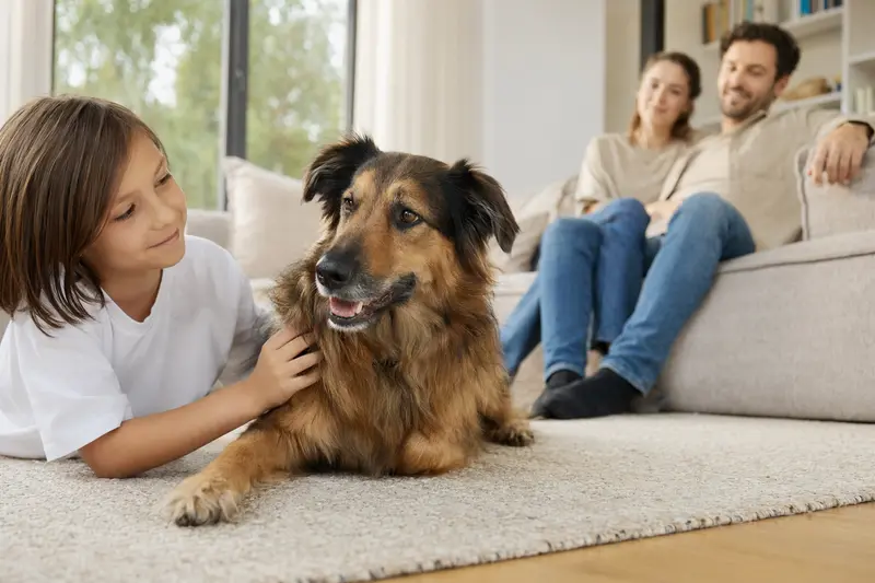 Ein freundlicher Schäferhund liegt entspannt neben einem Kind im Wohnzimmer, während die Eltern im Hintergrund eine sichere Familienatmosphäre schaffen.