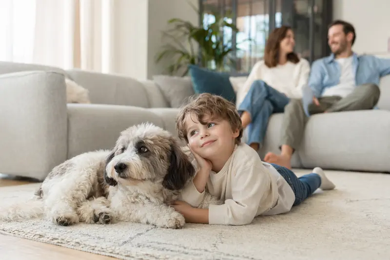 Ein freundlicher Schafpudel liegt entspannt neben einem Kind im Wohnzimmer, während die Eltern im Hintergrund eine sichere Familienatmosphäre schaffen.