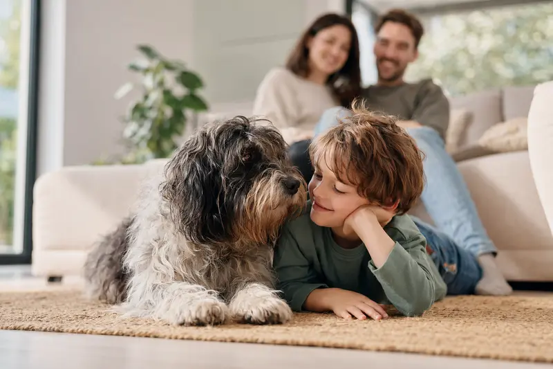 Ein freundlicher Schapendoes liegt entspannt neben einem Kind im Wohnzimmer, während die Eltern im Hintergrund eine helle und sichere Familienatmosphäre schaffen.