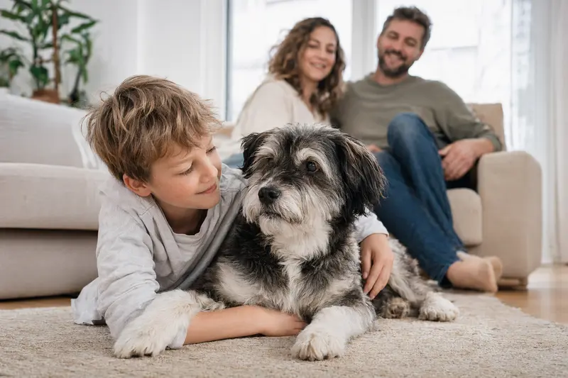 Ein freundlicher Hund liegt entspannt neben einem Kind im hellen Wohnzimmer und vermittelt eine sichere Familienatmosphäre.